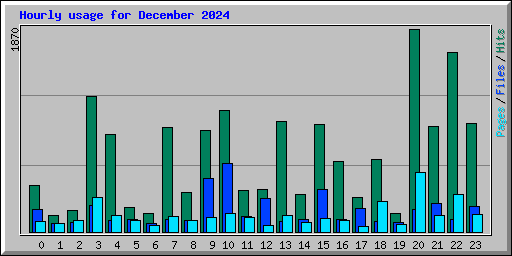 Hourly usage for December 2024