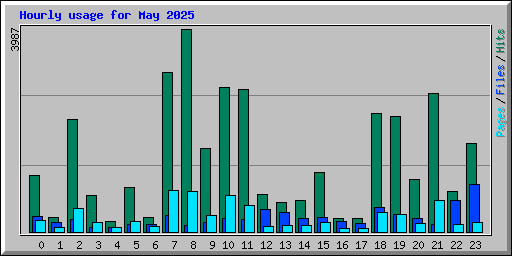 Hourly usage for May 2025