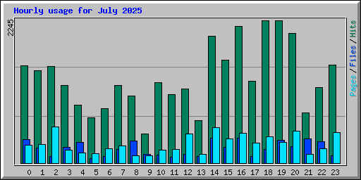 Hourly usage for July 2025