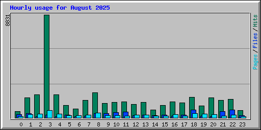 Hourly usage for August 2025
