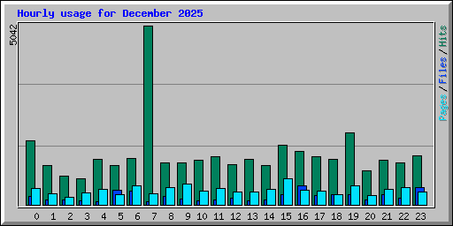 Hourly usage for December 2025