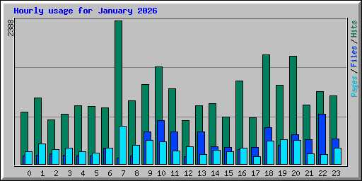 Hourly usage for January 2026