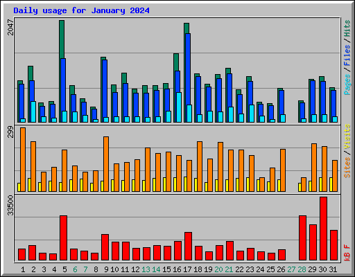 Daily usage for January 2024