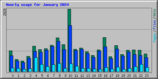 Hourly usage for January 2024