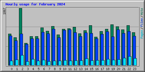 Hourly usage for February 2024