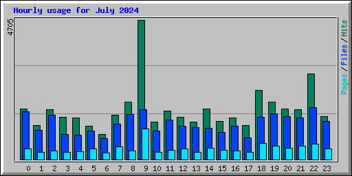 Hourly usage for July 2024