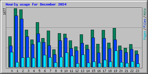 Hourly usage for December 2024