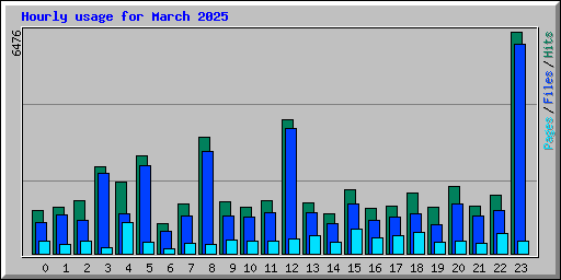 Hourly usage for March 2025