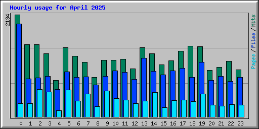 Hourly usage for April 2025