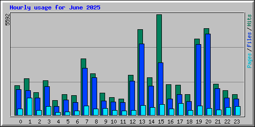 Hourly usage for June 2025