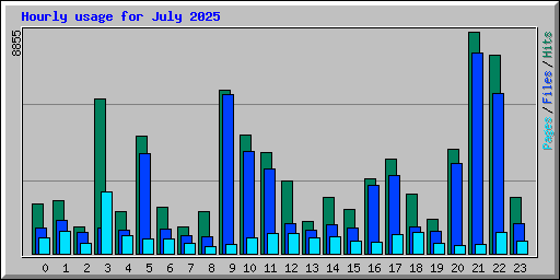 Hourly usage for July 2025