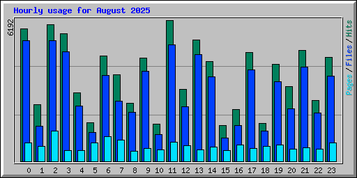 Hourly usage for August 2025