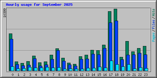 Hourly usage for September 2025