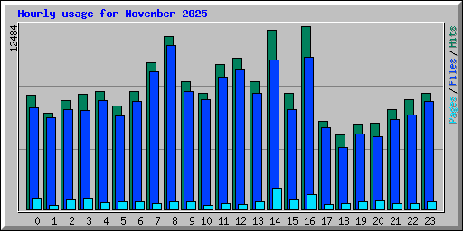Hourly usage for November 2025