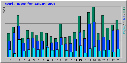 Hourly usage for January 2026
